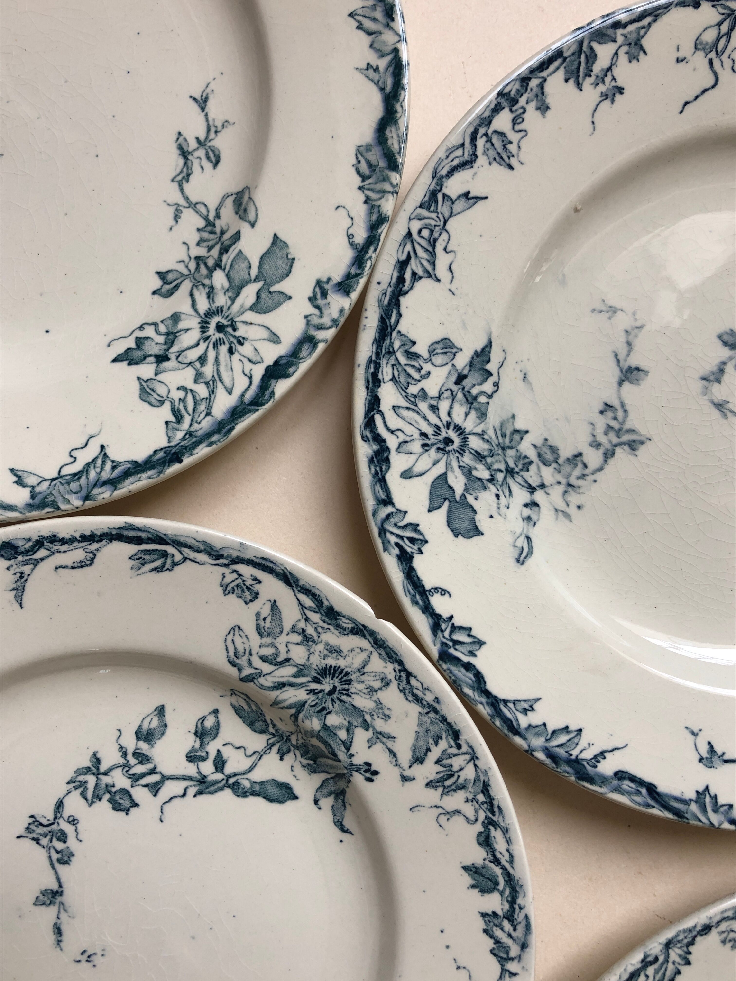 Set of 6 plates in faience Luneville model Passiflore