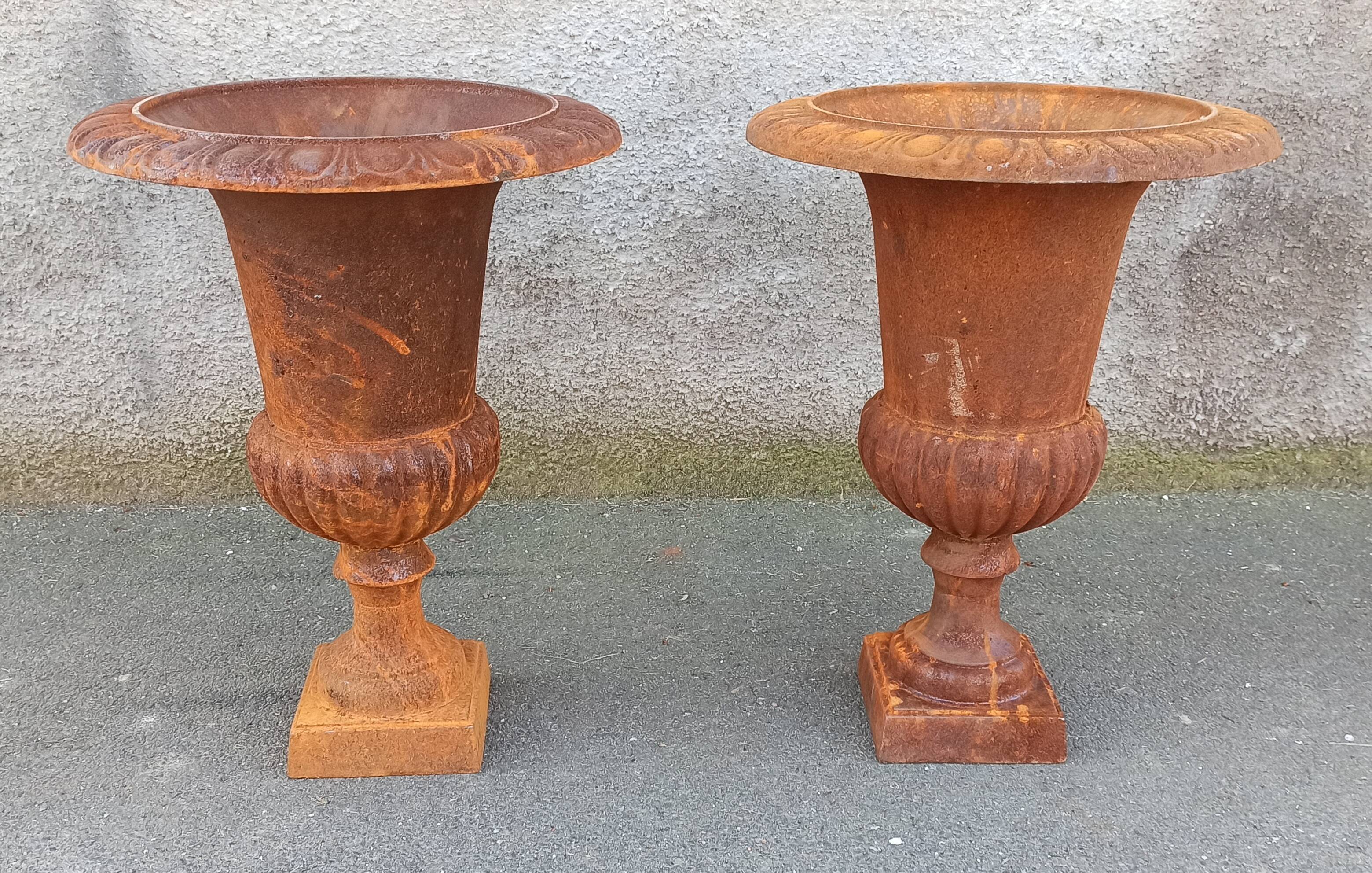 Pair of Medici type vase in cast iron