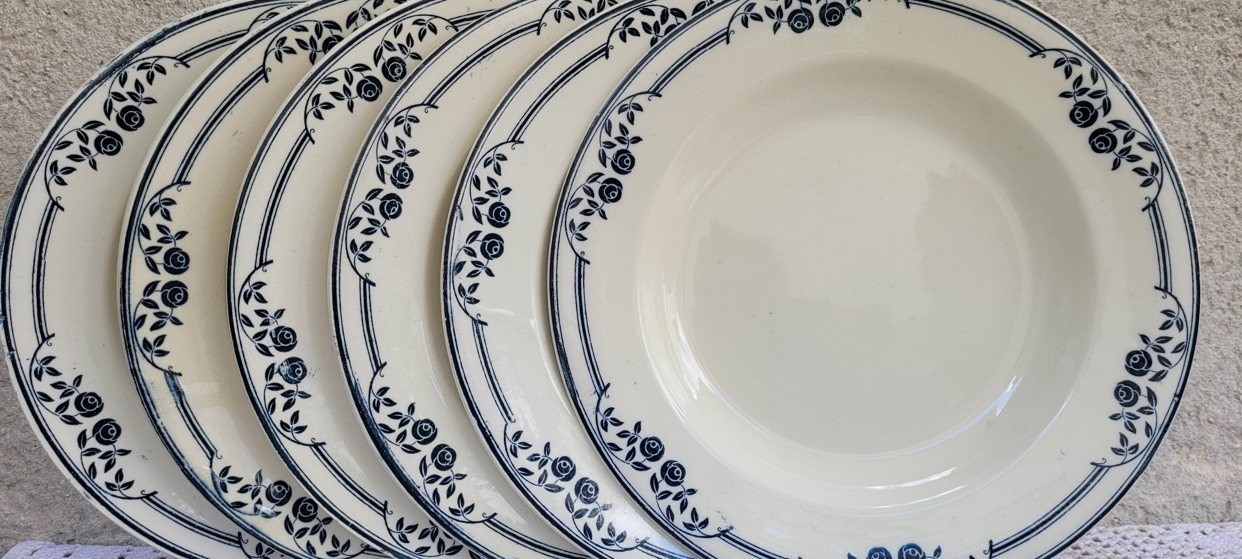 Set of 6 hollow plates Salins Model Saussure A.B.Terre de Fer