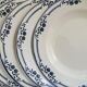 Set of 6 hollow plates Salins Model Saussure A.B.Terre de Fer