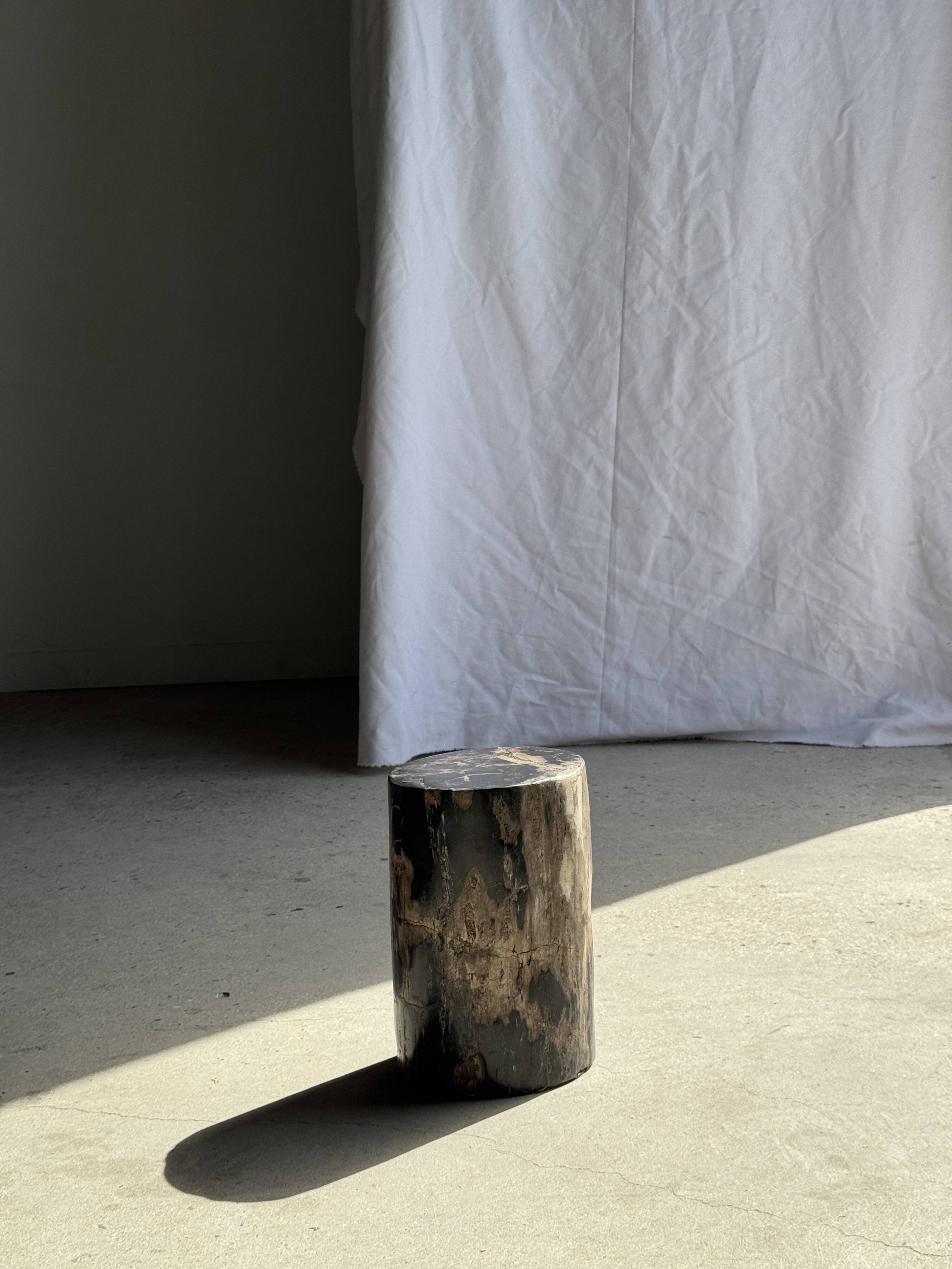 Table d'appoint en bois pétrifié noir