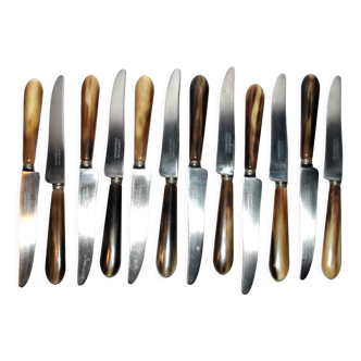 Série de 12 couteaux anciens en corne et acier - coutellerie l. springer strasbourg