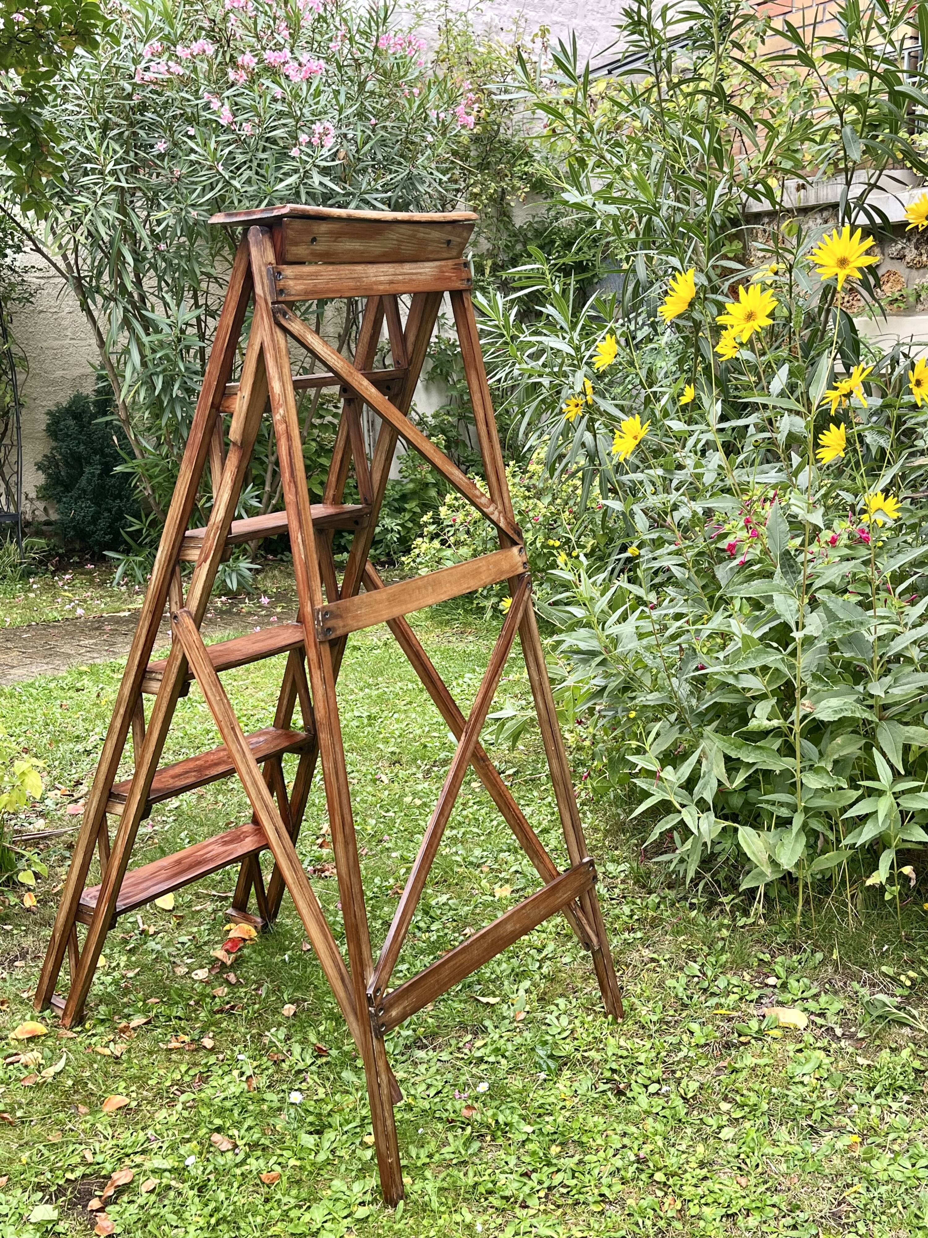 Stepladder - Painter's ladder - Folding