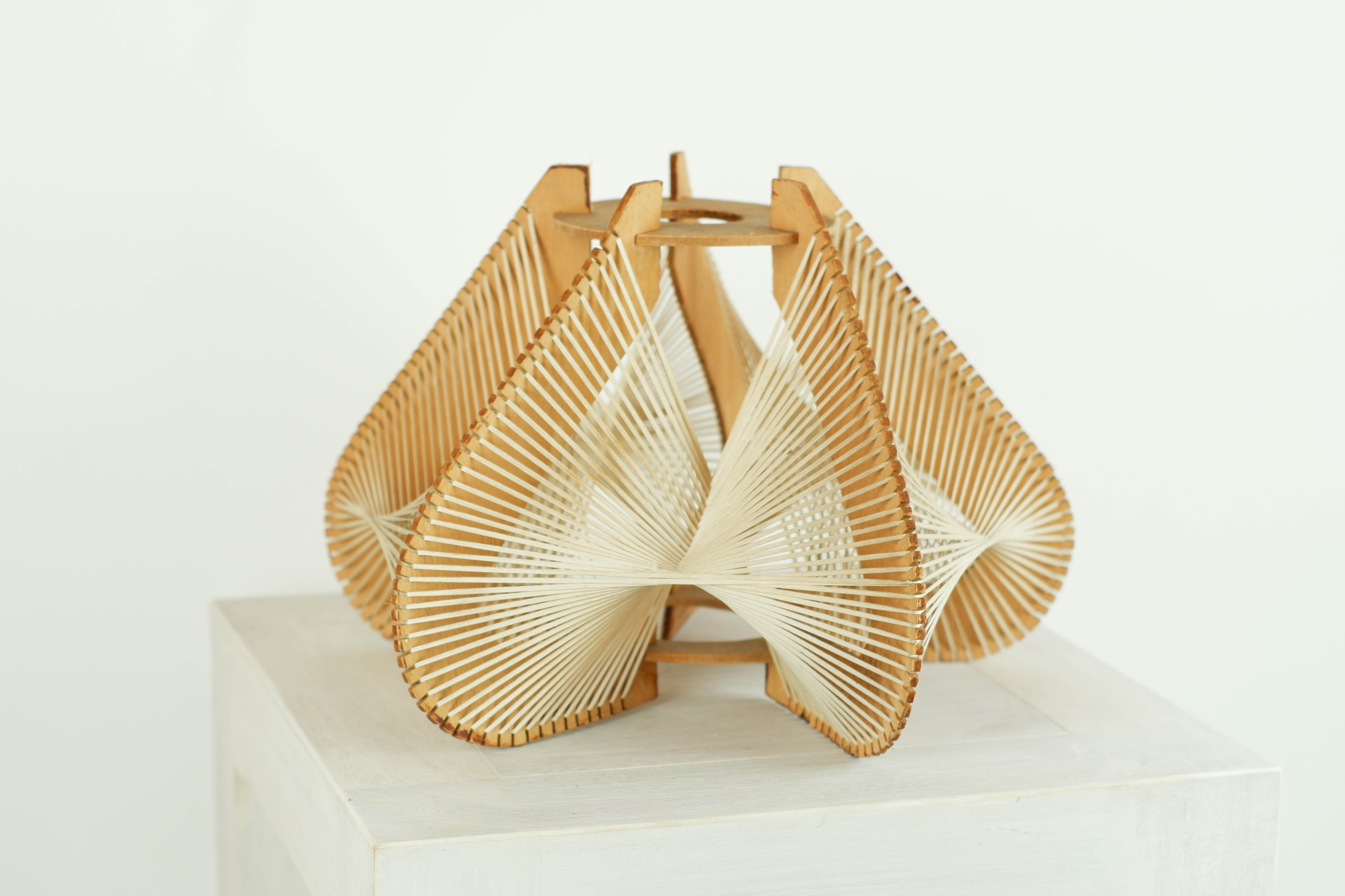 Lampshade for suspension in wire and wood