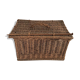 Wicker trunk