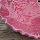 Empty pocket cabbage leaf