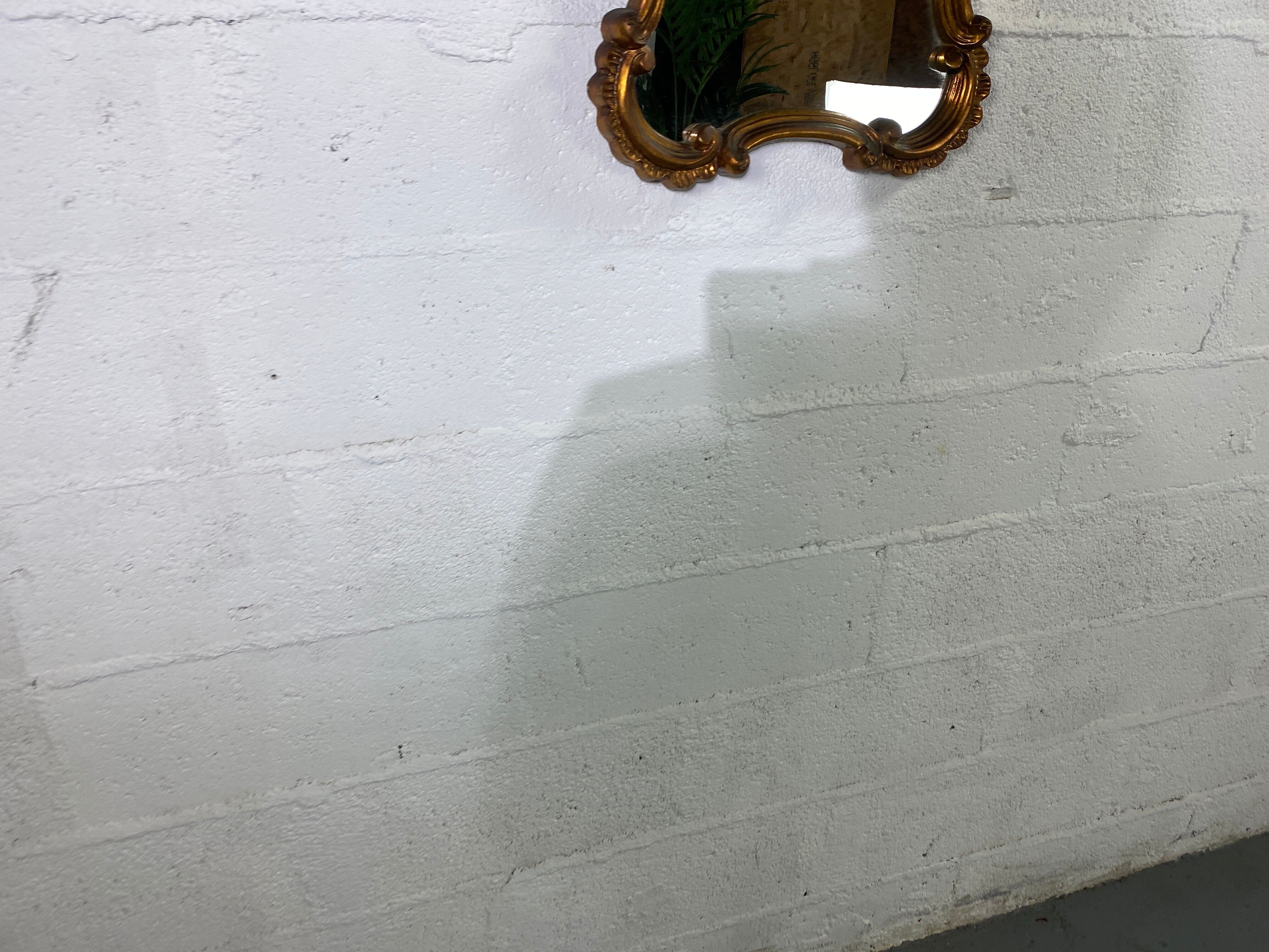 Golden mirror shell Louis XV