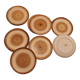 Longchamp plates