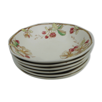 Set of six hollow plates "Villeroy et Boch"