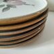 6 vintage stoneware dinner plates – Rosita model by MBFA Pornic