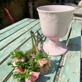Coupe vase rose poudré