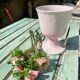 Powder pink vase cup