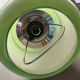 Suspension Monte-and-Lower 1970s in Floral Opaline Glass