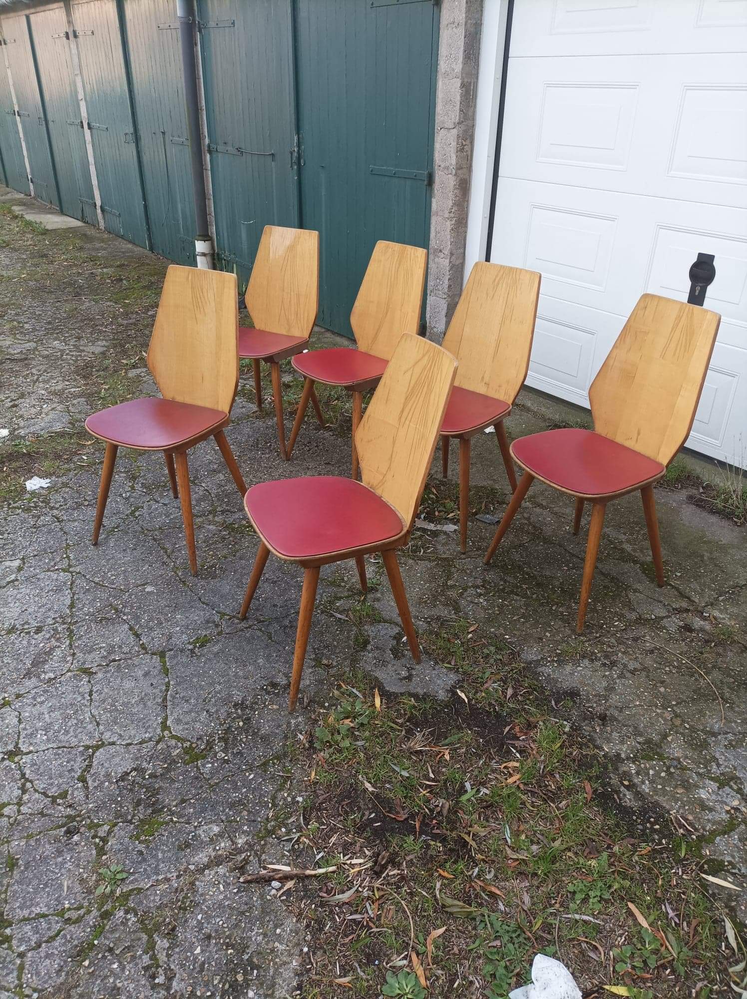 6 vintage Baumann chairs by Max Bill 50s