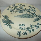 Lot of 8 flat plates iron earth Sce Maurice