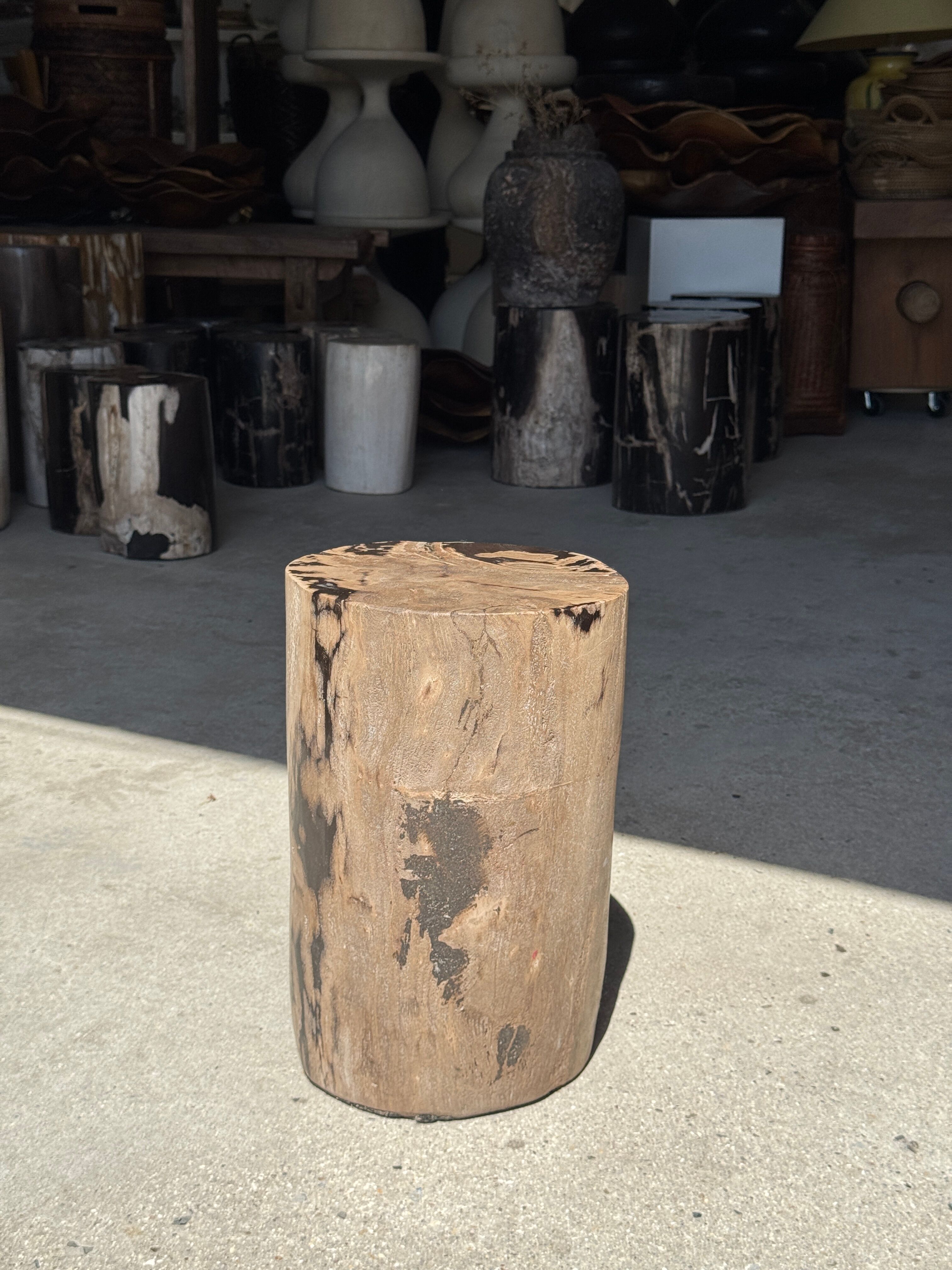 Brown and black petrified wood side table H35 D27 - 3333