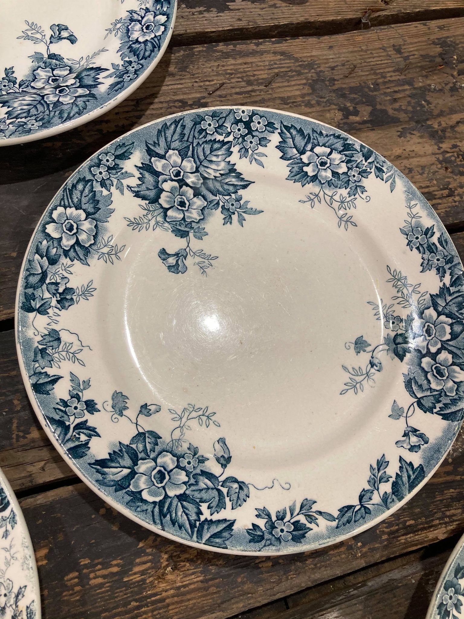 Lot of 6 plates in Terre de Fer Saint Amand - Marie-Louise model hamage