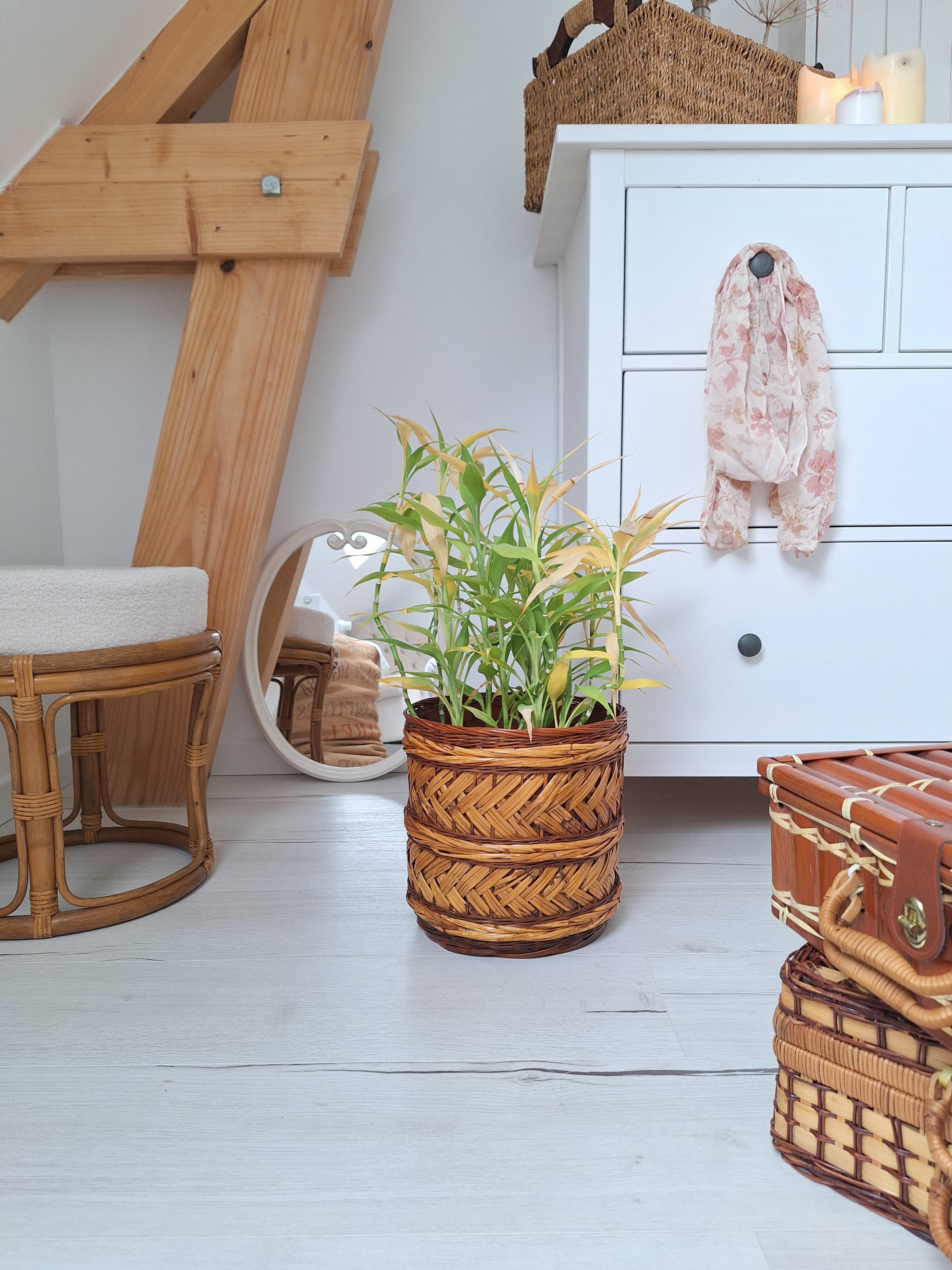Wicker plant pot