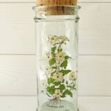 Glass kitchen pot - vintage cork from the 70s