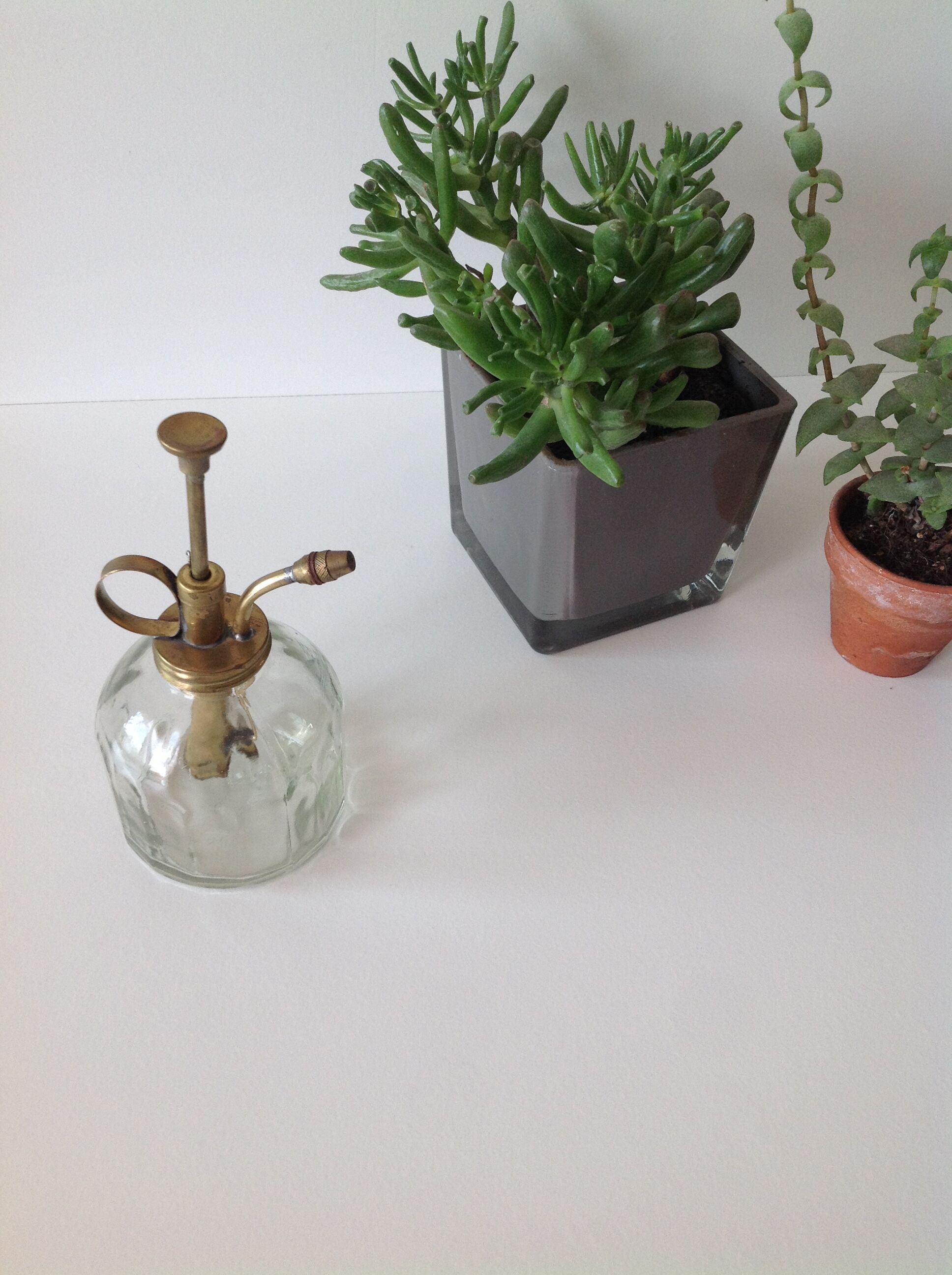 Brumisateur Pour Plantes D Interieur Selency