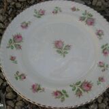 6 Johnson Brothers Windsor Ware plates