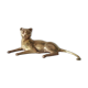 Brass lioness