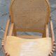 High canine chair convertible into wood