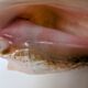 Pink shell, conch, stombus gigas, pink conch