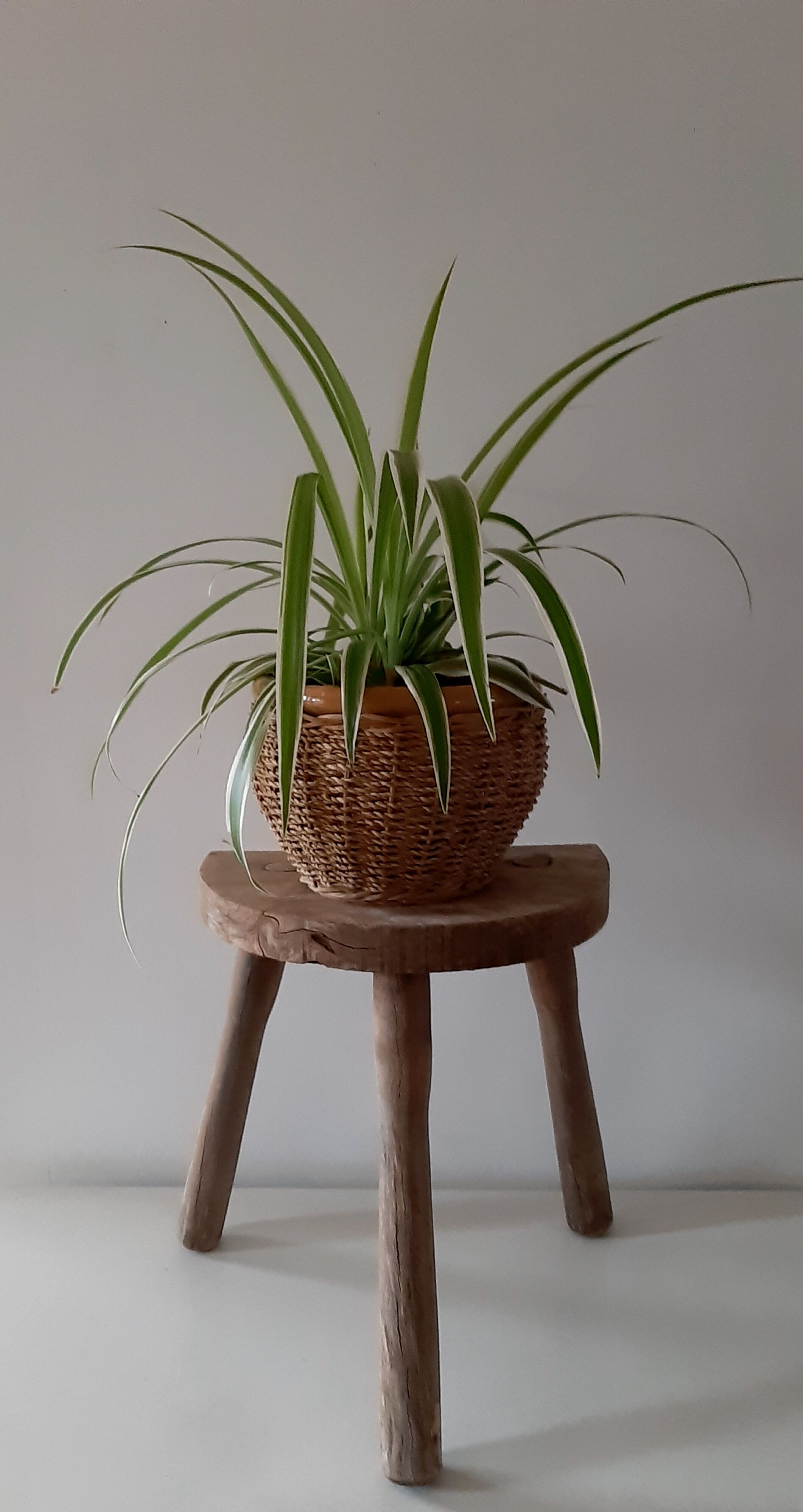 Ancient tripod stool