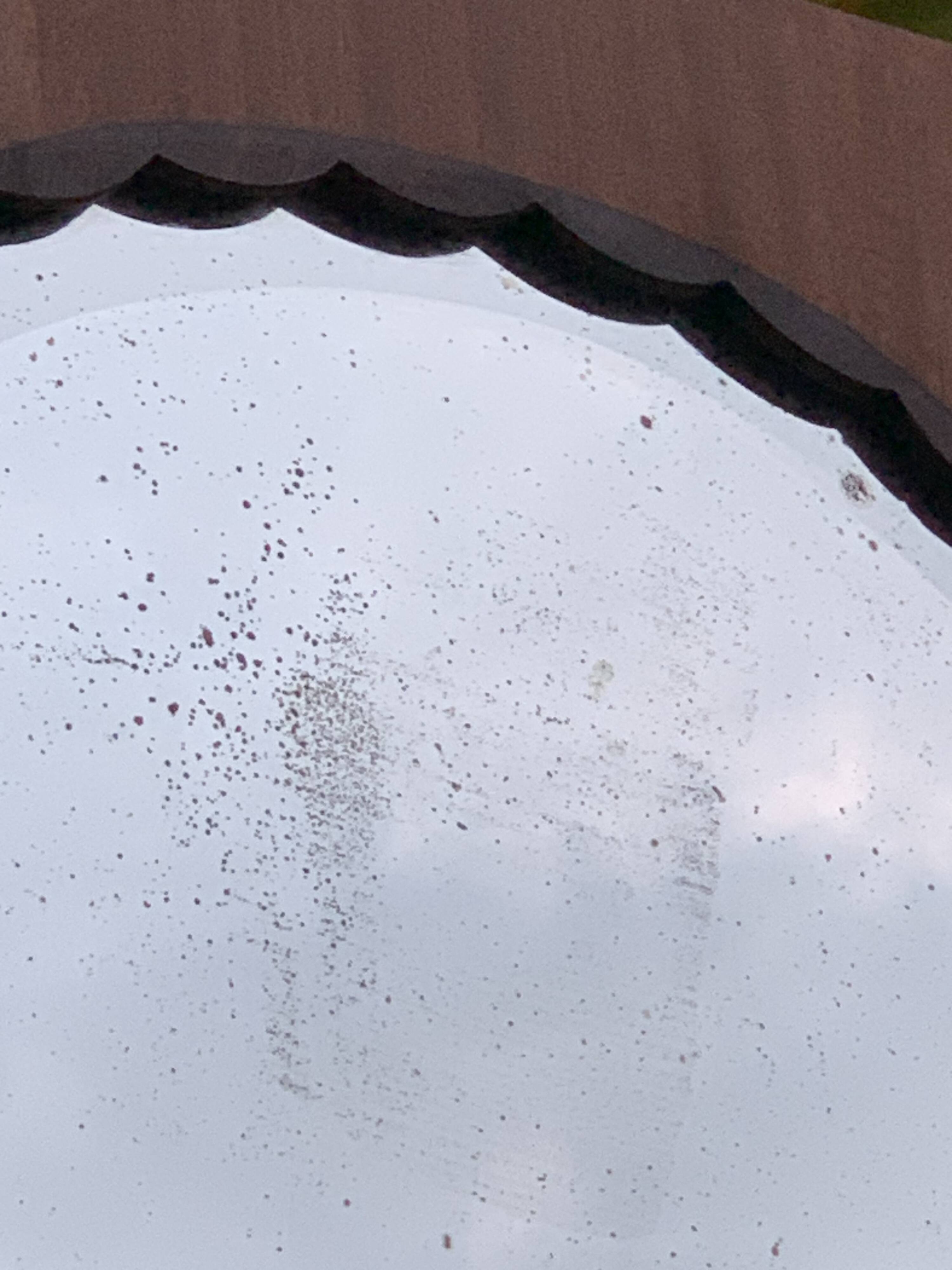 Beveled oval mirror on art deco door Mahogany 79x162