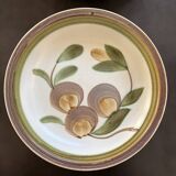 Two old deep plates gien