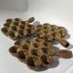 Assiettes à escargots grès moucheté artisanal (lot de 3)