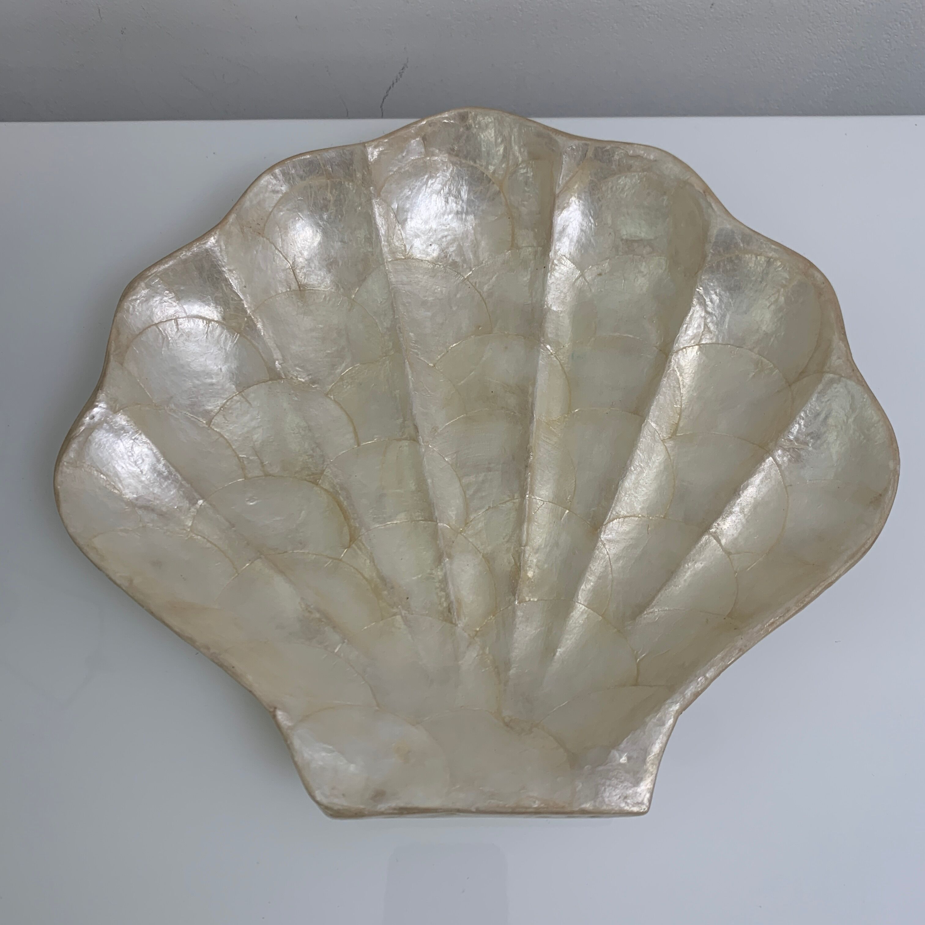 Pocket void shell-shaped shell mother-of-pearl of genuine Capiz