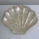 Pocket void shell-shaped shell mother-of-pearl of genuine Capiz