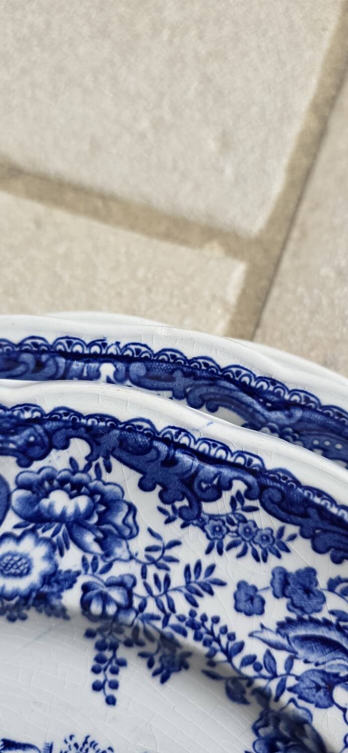 Lunéville blue English dinner plates