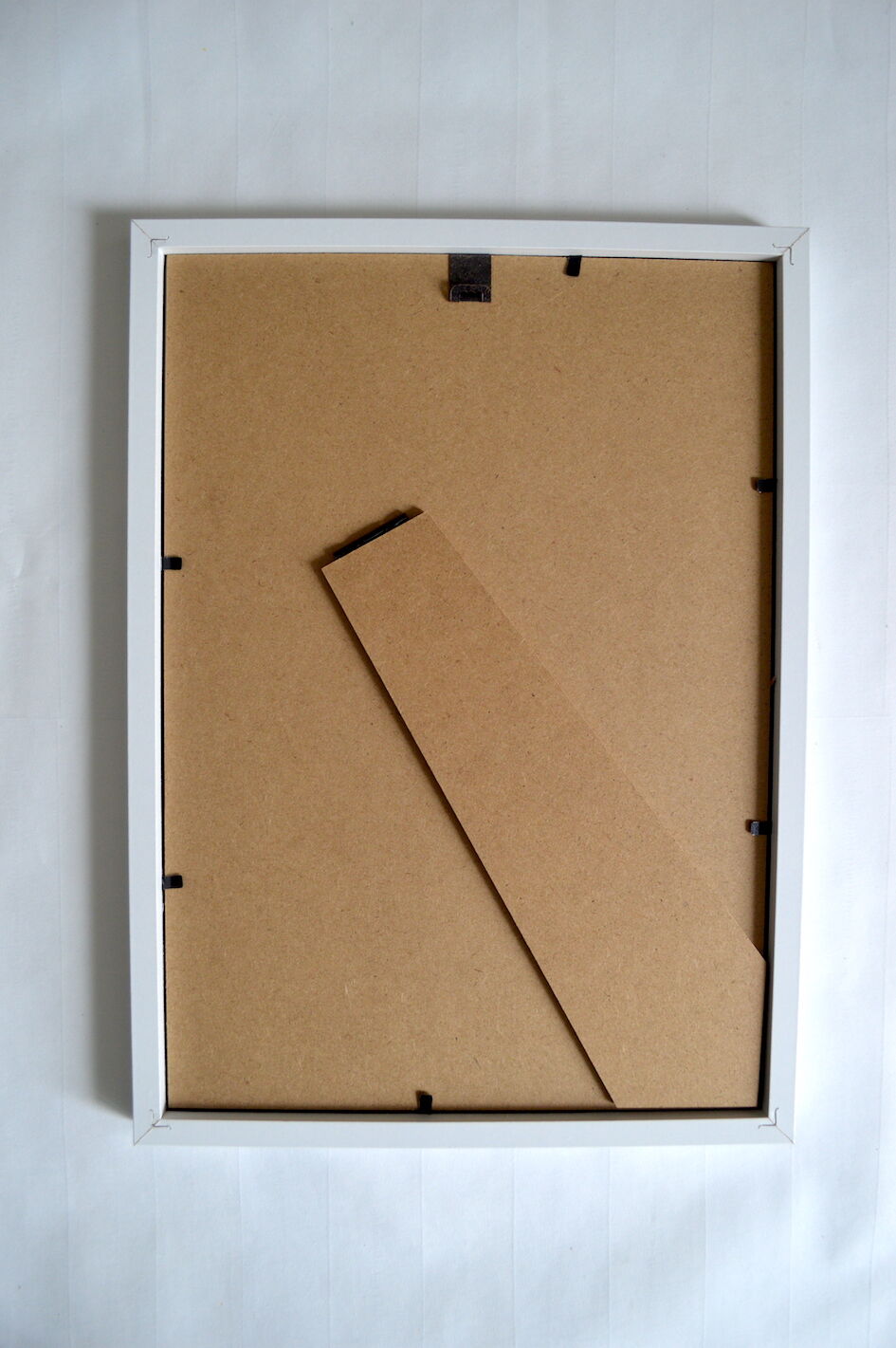 Entomological framework insects 1923