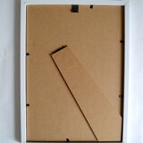 Entomological framework insects 1923