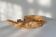 Extraordinary Swedish popular art large organic bowl in curly birch, 1980s