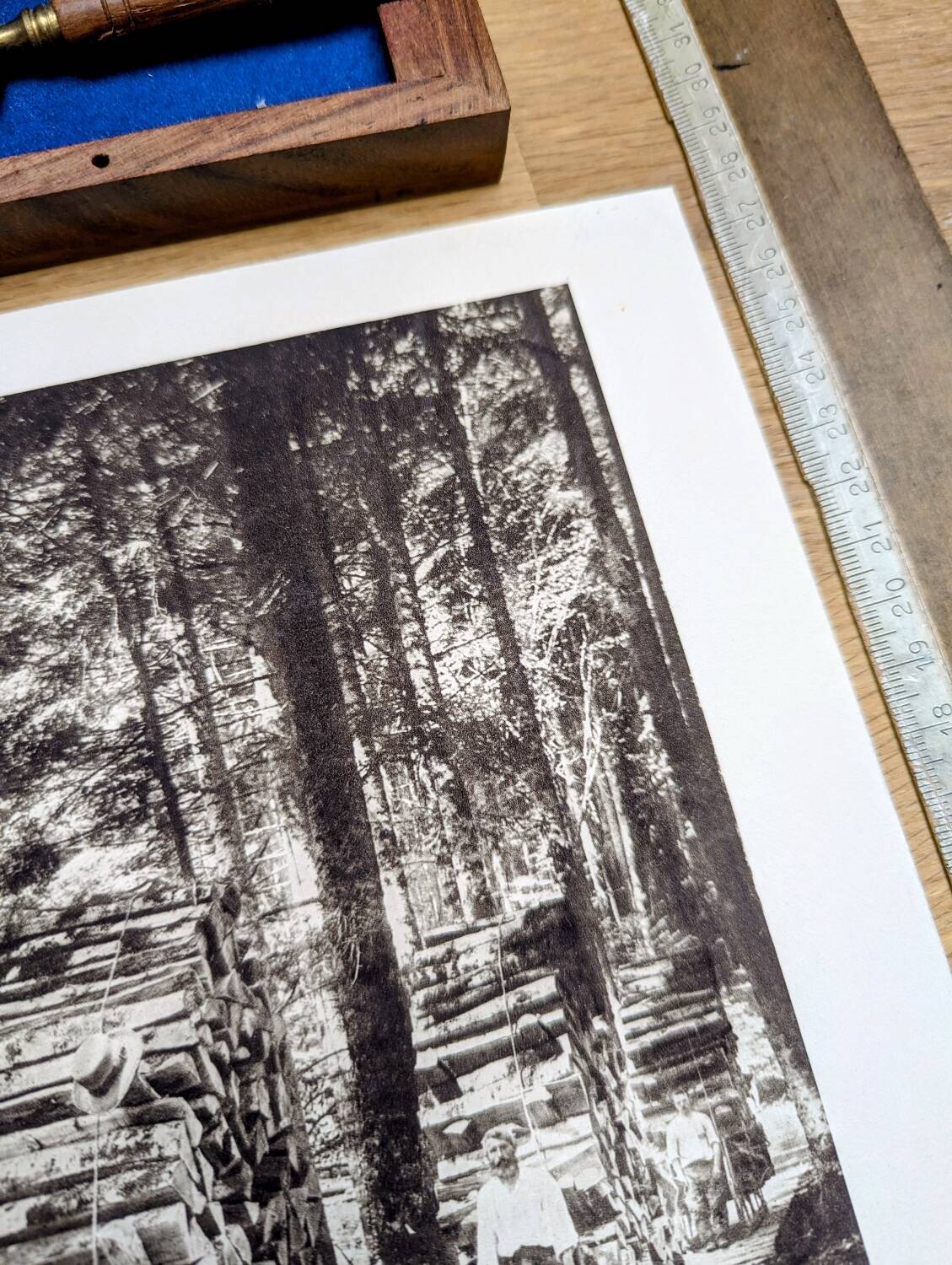 Skiers in the Hohwald, photo print from 1942.