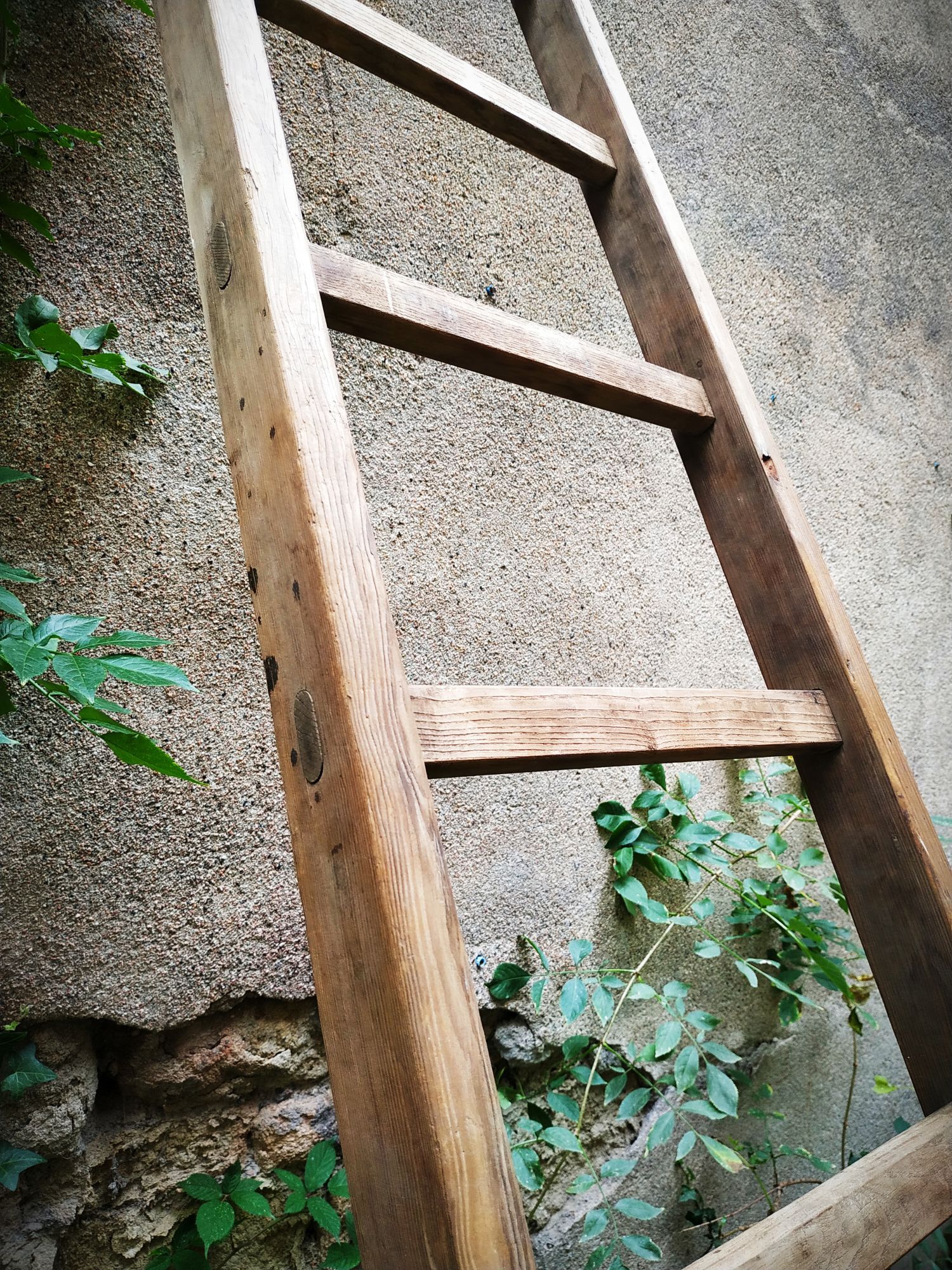 Old Cognet scale 321 cm