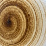 Longchamp 42-piece stoneware plate set