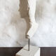 Woman bust in plaster