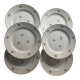 6 dessert plates