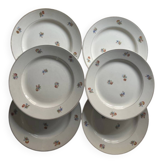 6 dessert plates