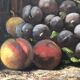 Fruit basket