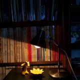 Vintage adjustable desk lamp