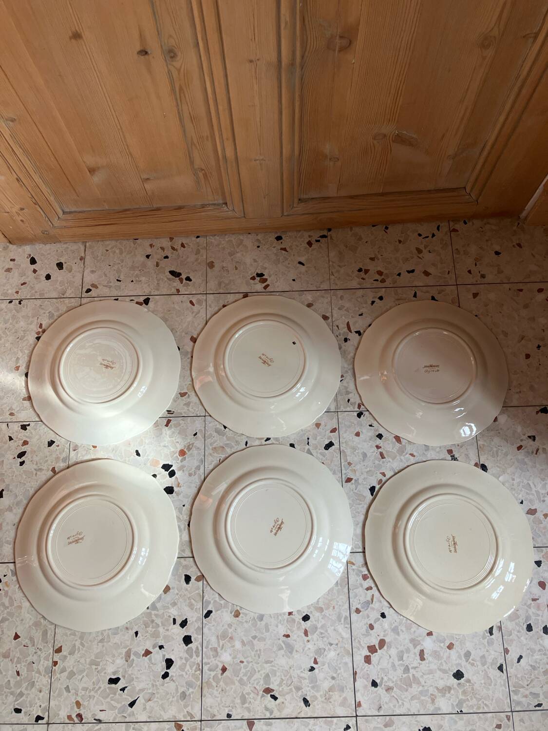 6 Sarreguemines dinner plates