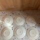 6 Sarreguemines dinner plates