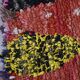 Carpet boucherouite 201x94cm