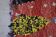 Tapis boucherouite 201x94cm